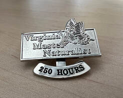 silver pin with Virginia Master Naturalist logo and anchor hanging below that reads 250 hours