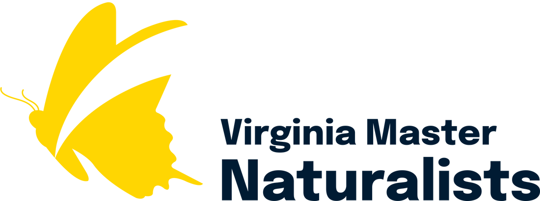 Virginia Master Naturalists logo with yellow butterfly