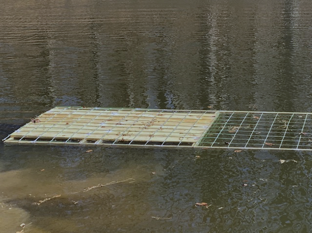 metal fencing structure floating in a pond