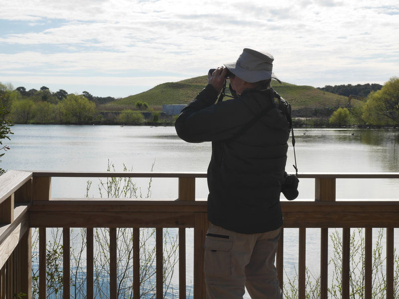 person on a wooden platform looking out at the water through binoculars