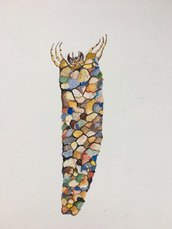 caddisfly larva in case made of colorful pebbles