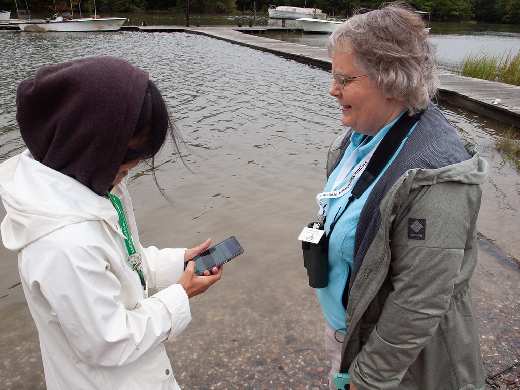 Two volunteers examining cell phone and standing next to dock at high tide