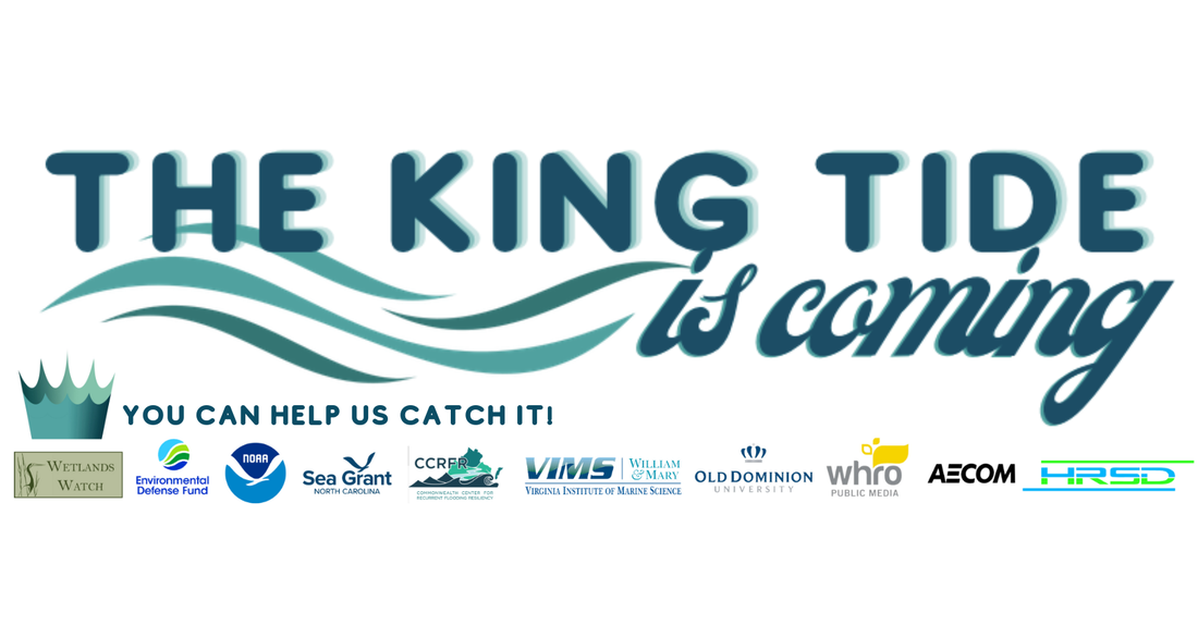 The King Tide is Coming - You can help us catch it!