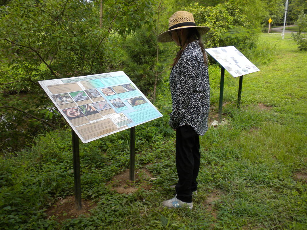 person looking at sign in park with photos and information about animals