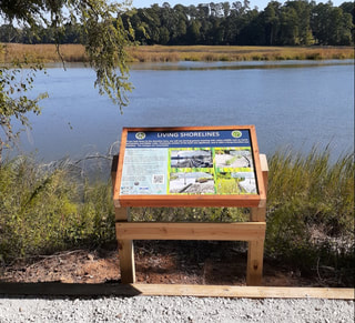 interpretive sign about living shorelines at water's edge