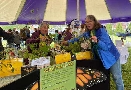 volunteers at a booth displaying native plants and butterflies