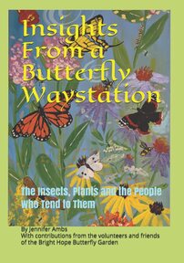 Front cover Insights From a Butterfly Waystation