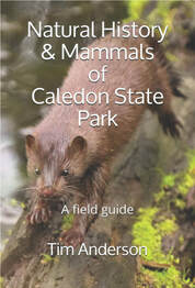 front cover Natural History and Mammals of Caledon State Park