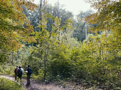 Photo of three college students on a trail in a green forested area