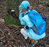 person with a blue backpack squatting by a tree taking a picture of a fungus