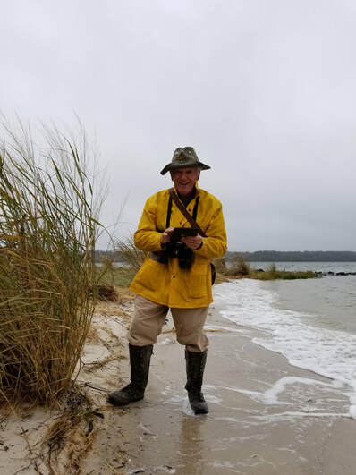 Person in raincoat standing in surf along shoreline.