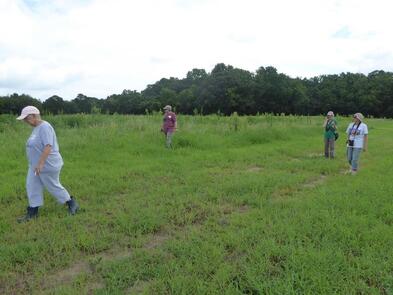 4 volunteers in green, open field looking for butterflies with binoculars