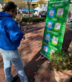 person at a festival looking at a poster with links to iNaturalist, eBird, Merlin