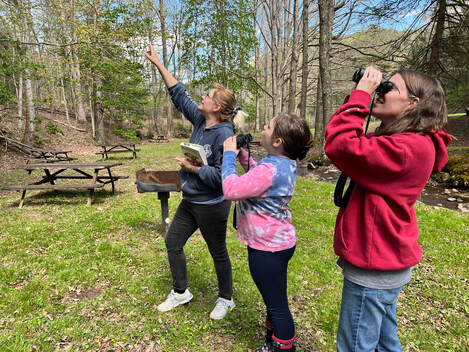 three people observing birds through binoculars