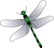 drawing of a dragonfly with green body