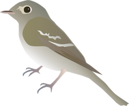 image of a small songbird