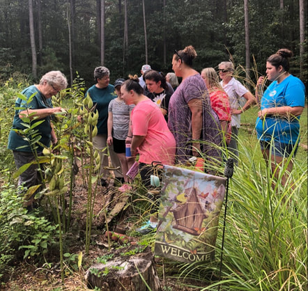 volunteer in a butterfly garden showing a milkweed plant to a group of a dozen people