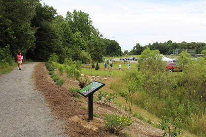 Photo of newly planted native plant landscape with walking path and interpretive sign