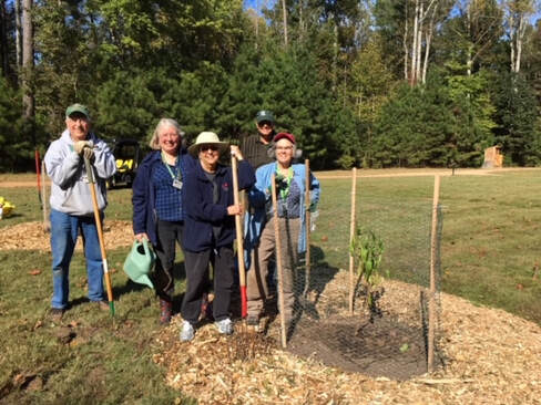 group of five people posed with tools next to a newly planted tree