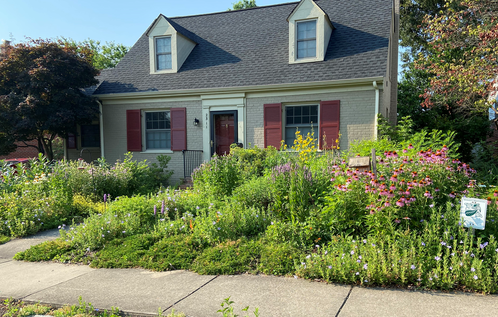 house with diverse plantings of flowers in the front yard