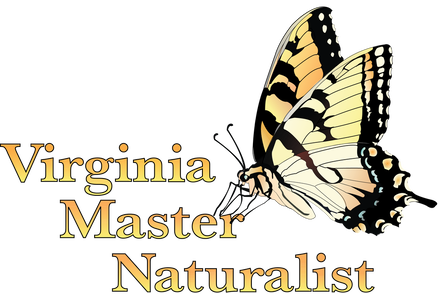 logo with yellow tiger swallowtail butterfly perched on orange Virginia Master Naturalist text