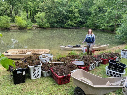 volunteer by pond shoreline surrounded by baskets filled with removed plant material