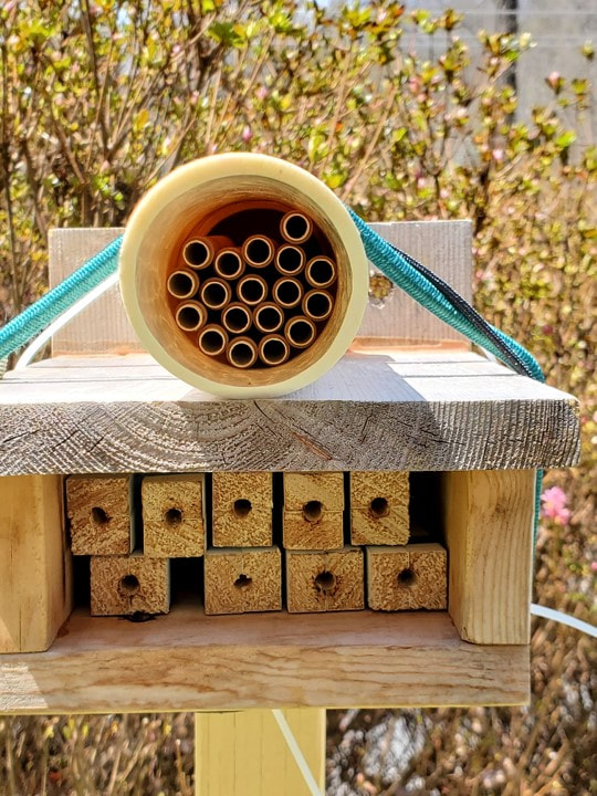 bee hotel with wood blocks and dowels with holes for bees