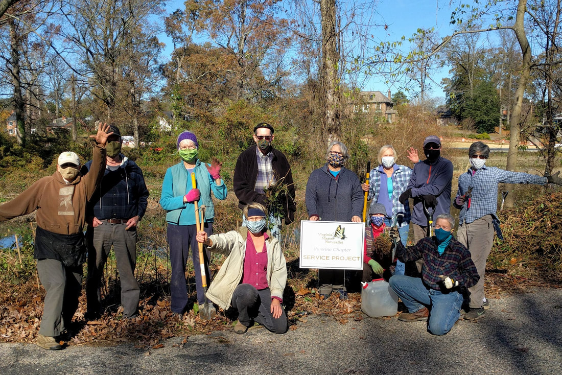eleven volunteers in a park posed with a Virginia Master Naturalist Service Project sign