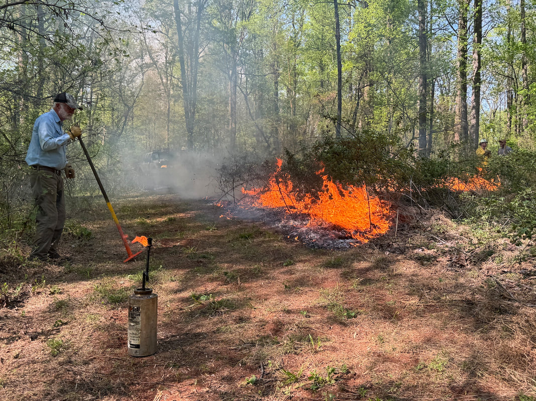 person with hoe observing a small fire in a forest clearing