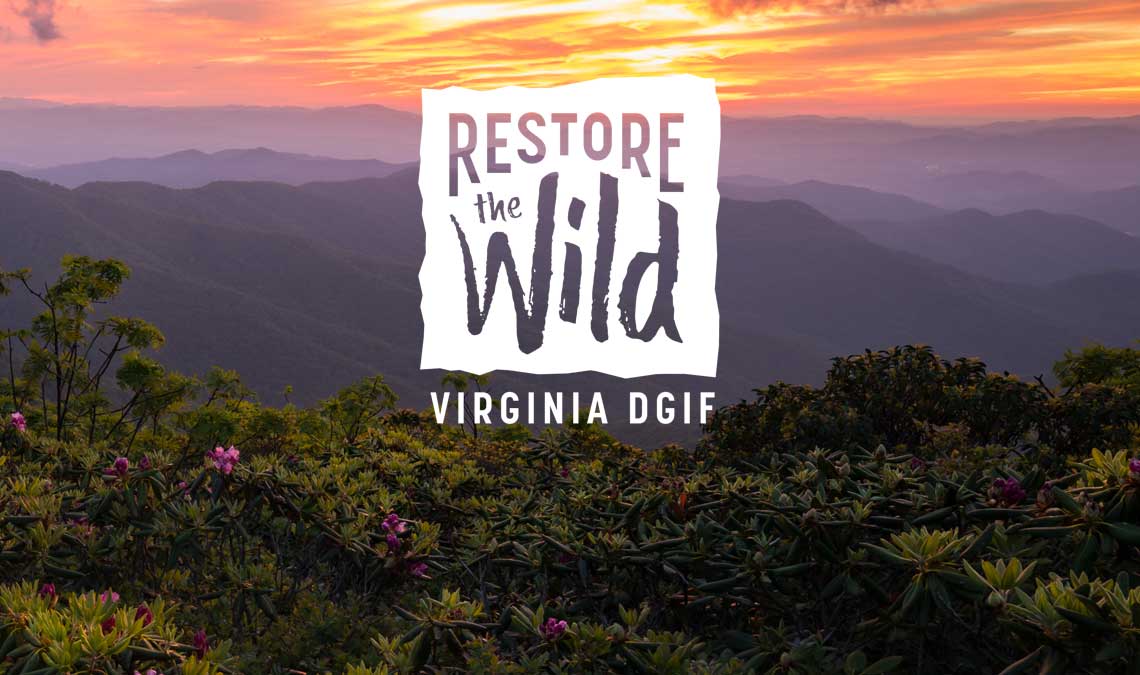 mountain landscape photo with Restore the Wild Virginia DGIF logo in center