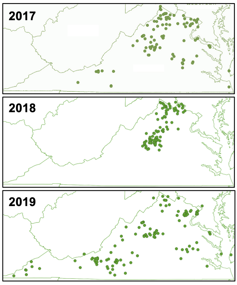 Three maps of Virginia for 2017, 2018, and 2019, with dots showing volunteer mason bee collection sites each year