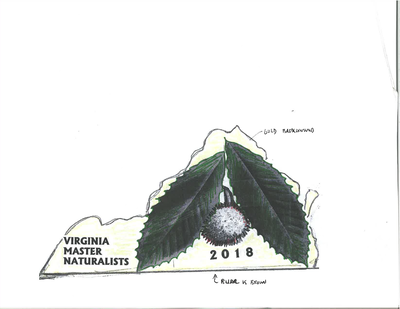 Shape of the state of Virginia with 2 chestnut leaves and a chestnut burr inside, alongside the text 2018 and Virginia Master Naturalists.