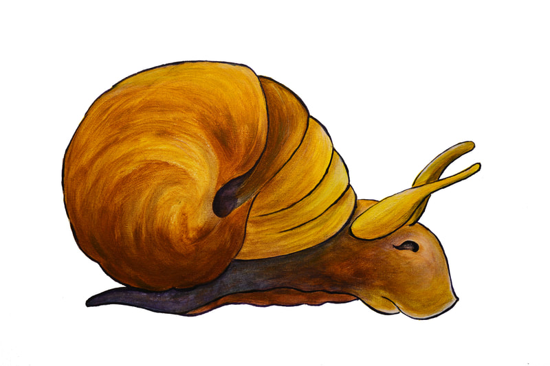 Golden-brown snail in shell