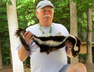 photo of man teaching while holding pelt of striped skunk 
