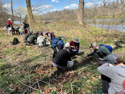 group of 15 people examining plants on the ground next to a river