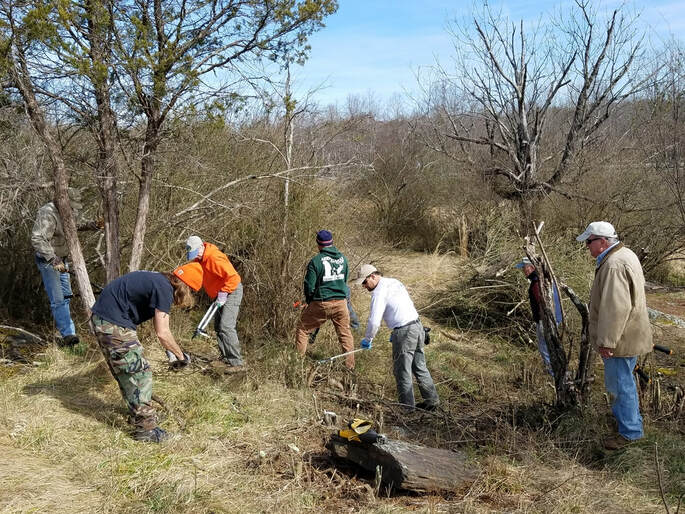 Six volunteers in clearing using hand tools