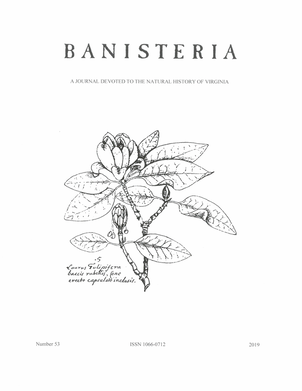 Sample cover from the Banisteria journal, showing a line drawing of a flowering plant