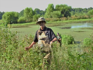 person wearing waders emerging from vegetation next to a pond