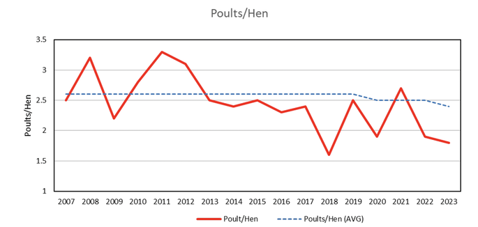 graph of poult to hen ratio for each year from 2007 to 2023