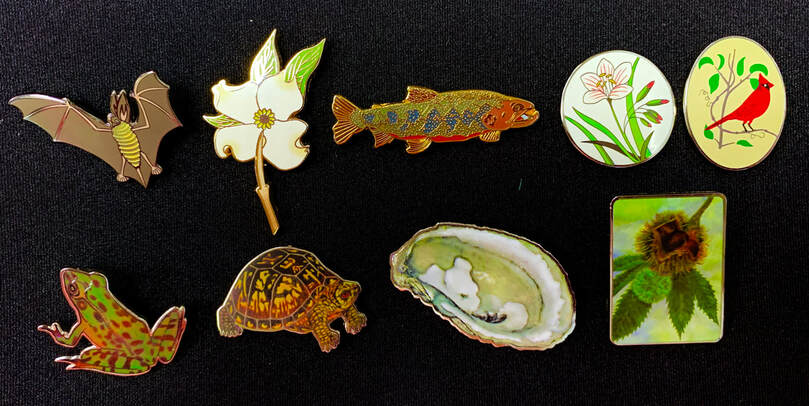 image of 9 pins showing different plant and animal species