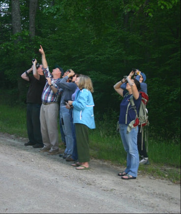 group of individuals looking through binoculars on a roadside