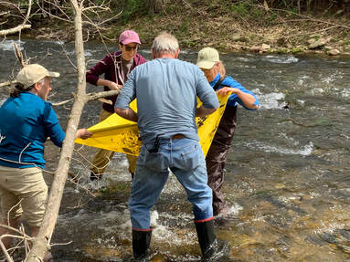 four people in a rushing stream examining a yellow yet full of insects and debris
