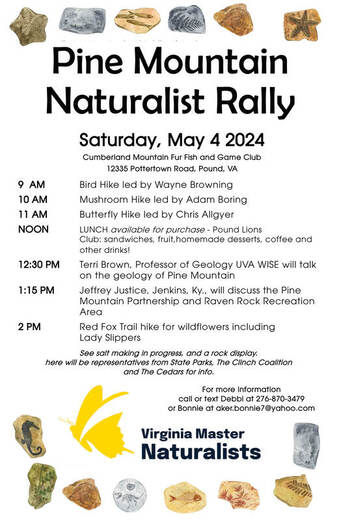 Pine Mountain Naturalist Rally poster