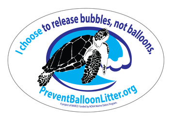 decal with sea turtle and text 