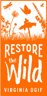 Logo with Restore the Wild text and meadow plants with insects