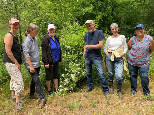 six people posing outside next to an invasive plant with white flowers
