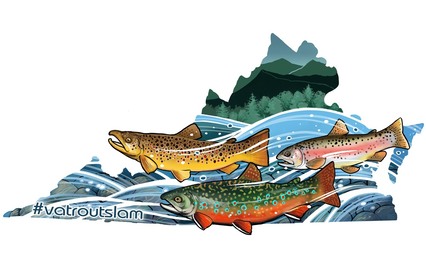 drawing of three trout species superimposed on shape of the state of Virginia, with text reading #vatroutslam