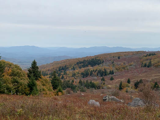 landscape photo of rocky, scrub mountaintop bald in fall colors