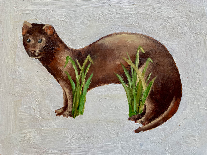 mink posed between tufts of grass