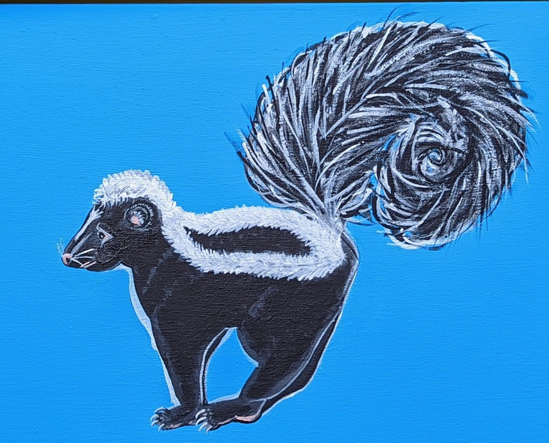 striped skunk with bushy tail on blue background